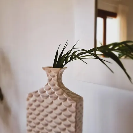 Villa 61